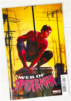Web Of Spider-Man 33926