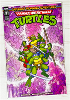 Teenage Mutant Ninja Turtles: Saturday Morning Adventures #9 33933