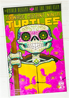 Teenage Mutant Ninja Turtles: The Untold Destiny Of The Foot Clan #1 33954