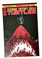Teenage Mutant Ninja Turtles #145 33973