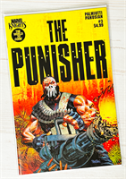 Marvel Knights: Punisher #3 35794