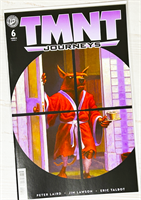Teenage Mutant Ninja Turtles: Journeys #6 39223