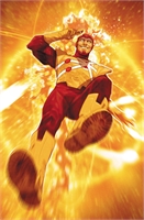 Fury Of Firestorm #9 39516