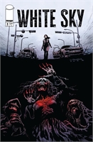 White Sky #8 39965