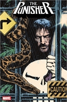 Punisher #11 40119
