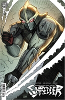 Teenage Mutant Ninja Turtles: Shredder #15 40212