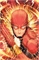 Flash #23 15737 - фото 29378
