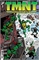 Teenage Mutant Ninja Turtles: Journeys #2 19717 - фото 36724