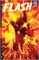 Absolute Flash: Of Two Worlds (HC – Vol. 01) 20040 - фото 37365