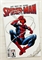 Spider-Man #1 20192 - фото 37689