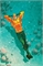 Aquaman #11 20415 - фото 38151