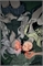 Gotham Academy: First Year #2 20505 - фото 38323