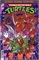 Teenage Mutant Ninja Turtles: Saturday Morning Adventures Continued! #34 24485