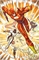 Flash #35 30758