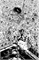 Do a Powerbomb: Black & White #1 30935