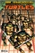 Teenage Mutant Ninja Turtles #20 31488