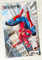 Ultimate Spider-Man #13 32213