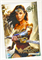 Female Force: Gal Gadot 32320