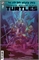 Teenage Mutant Ninja Turtles #21 32711