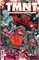 TMNT: Journeys #13 32721