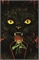 Stuff Of Nightmares: Cat In The Coffin 32749