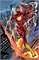 Flash #36 33263