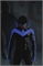 Nightwing #141 33304