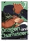 Dragon And Chameleon (GN-TPB – Vol. 07) 33634