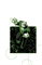 Tales Of The Green Lantern Corps: Training Day 39589