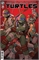 Teenage Mutant Ninja Turtles #25 40205